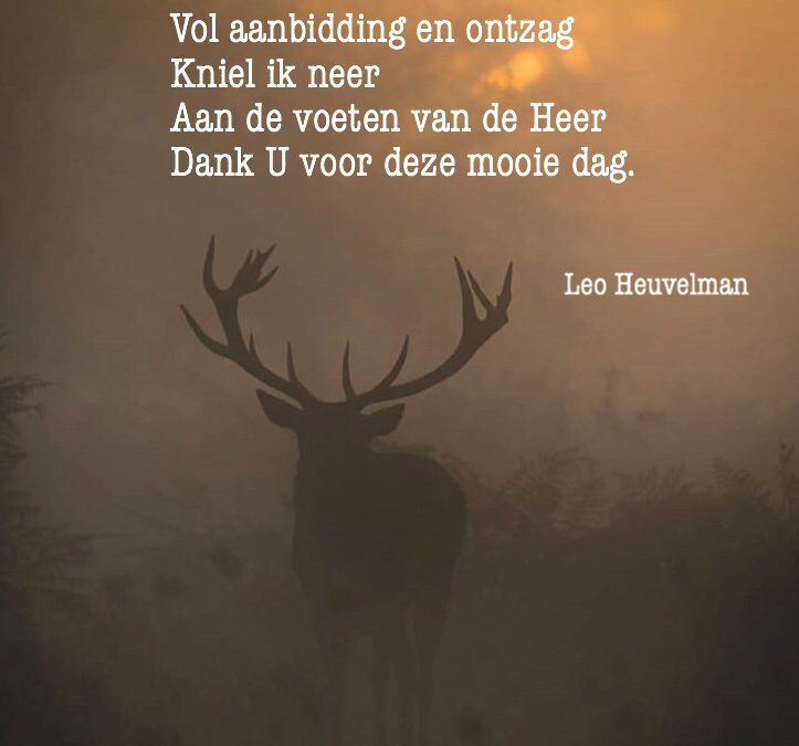 Mooie dag