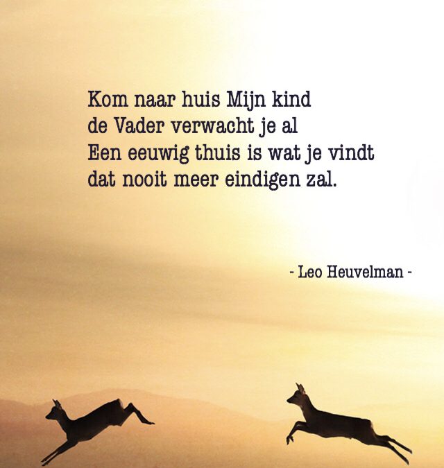 Kom naar huis