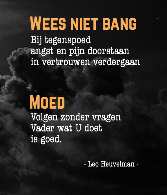 Moed