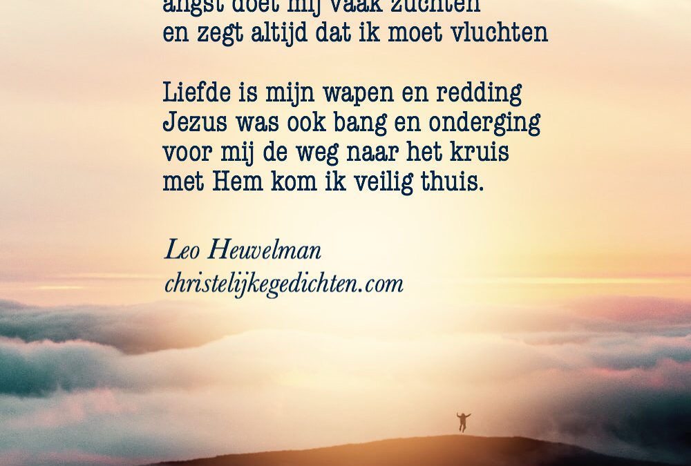 Leugenaar
