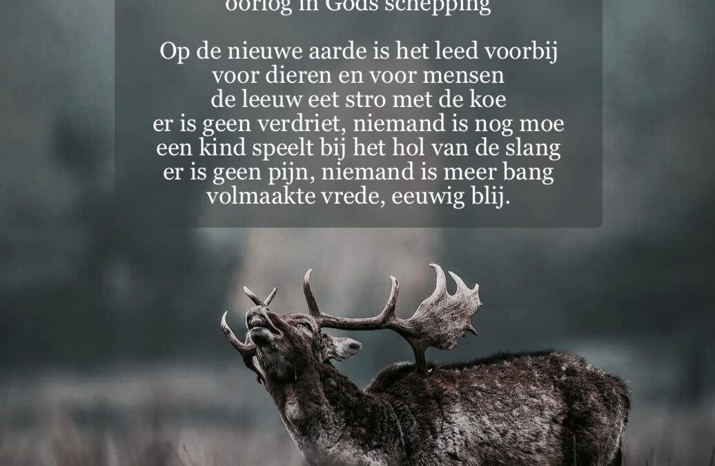 Dieren