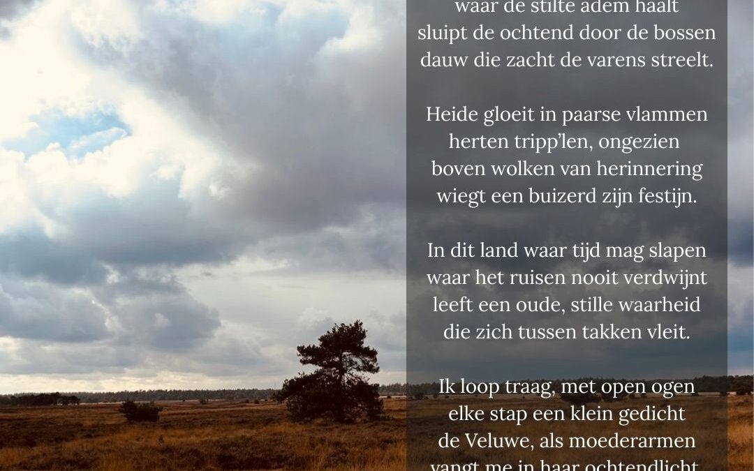 De Veluwe