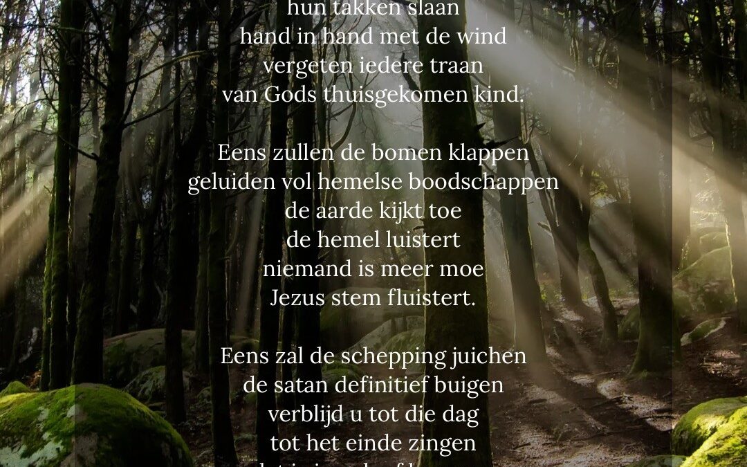 Eens klappen de bomen