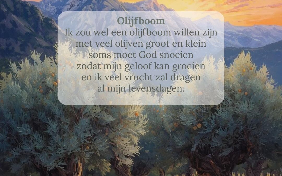 Olijfboom