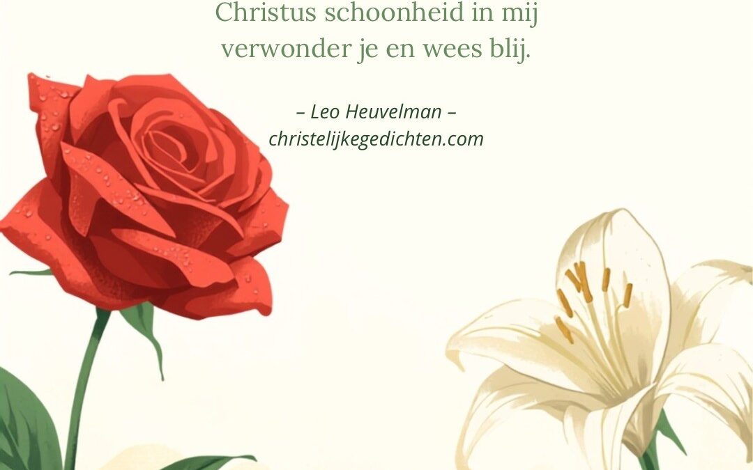De roos en de lelie