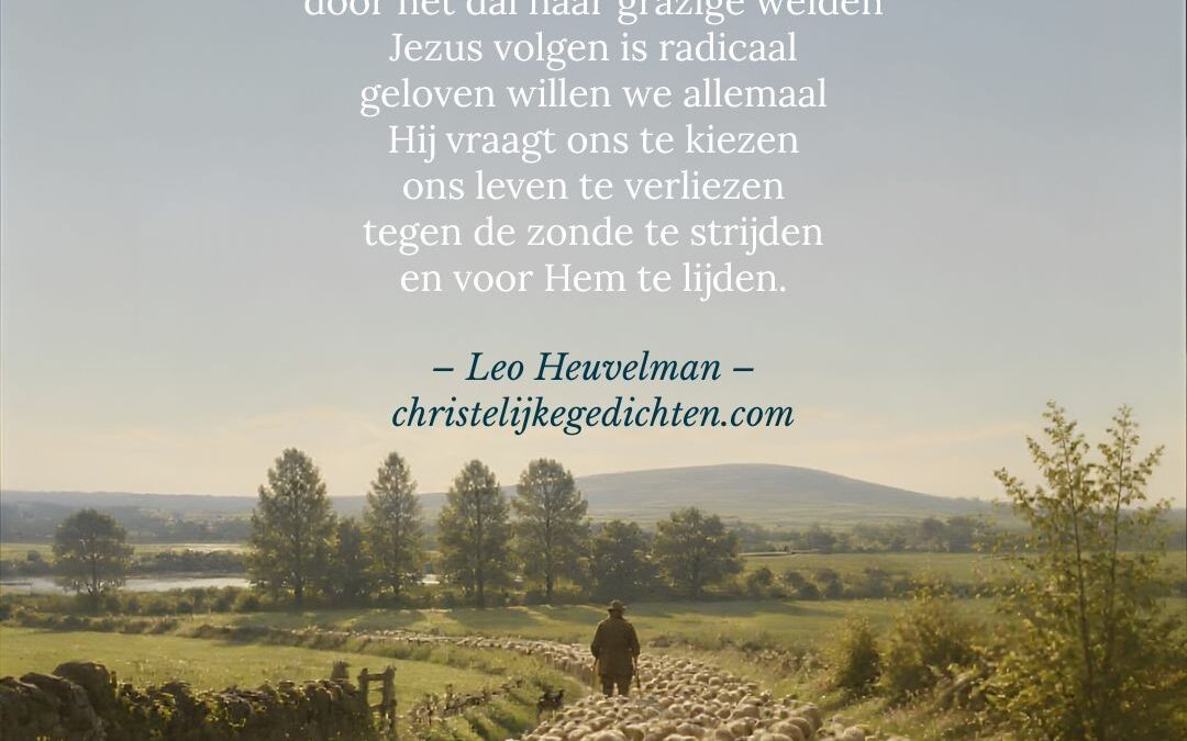 Jezus volgen is radicaal
