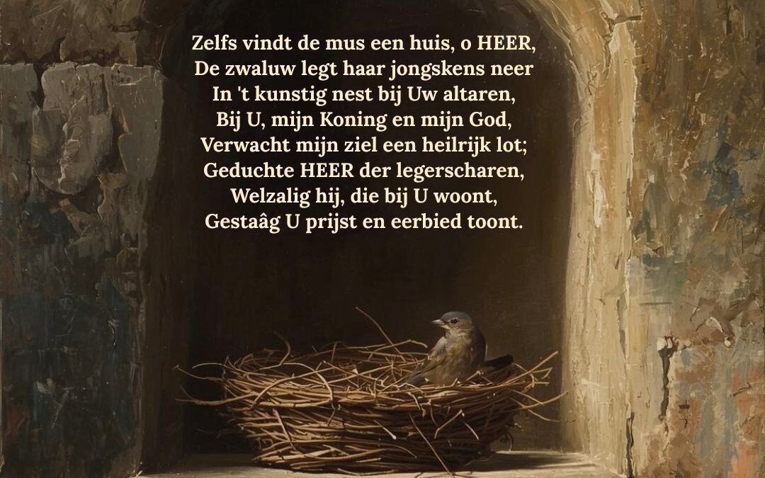 Een huis voor musjes